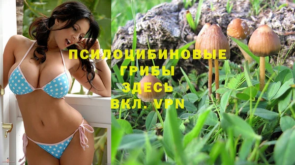 экстази Пестово