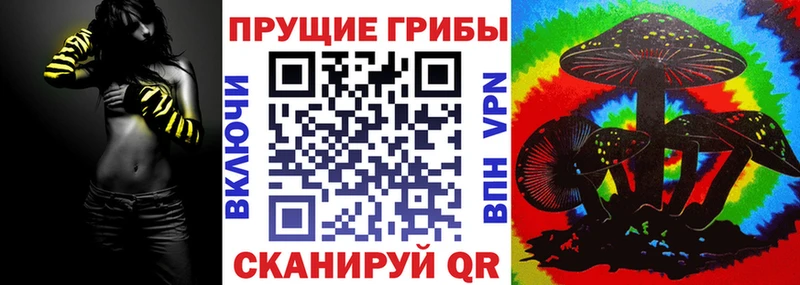 купить наркотики цена  Рошаль  Псилоцибиновые грибы MAGIC MUSHROOMS 